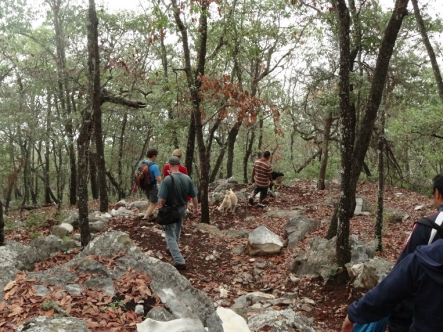 Senderismo naturaleza